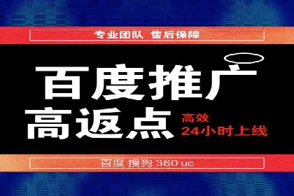 探索百度竞价代理的未来发展趋势与挑战